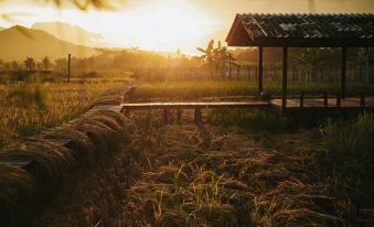 Yidan’s Permaculture Farm stay