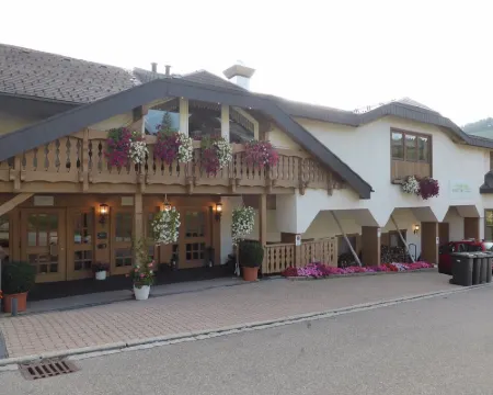 Bergvital Hotel Todtnau Hotels in Todtnau