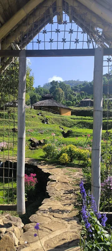 รูปภาพของบ้านไม้ 3