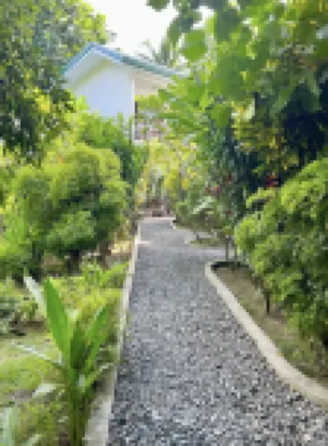 Fat Lips Surf Lodge โรงแรมใน