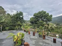 The Green County Homestay