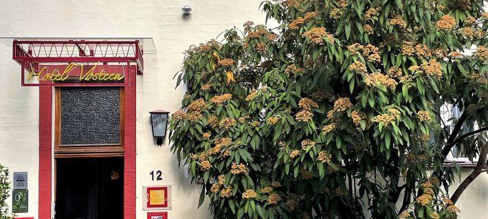 沃斯汀設計精品飯店 紐倫堡住宿飯店