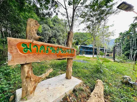 รูปภาพของมาครนอนเขลง