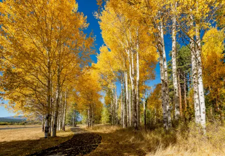 Хостел 51 Отели рядом с достопримечательностью «Защитникам Советского Заполярья в годы Великой Отечественной войны»