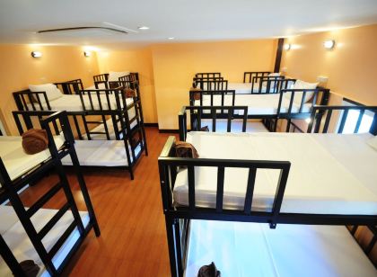 트윈 팜스 호스텔 피 피