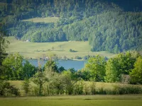 Arnestgut Hotels in Strobl