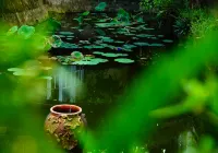 Vuon Thu Do Homestay Hotels near An Phát F&B - Chuyên cung cấp nguyên liệu pha chế tại Buôn Ma Thuột