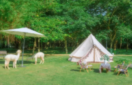 Ecopark Lushy Stay - Sunny Color