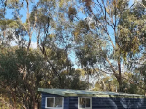 Blue Orchid Tiny House Hotels in Clare