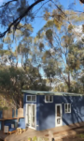 Blue Orchid Tiny House