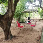 Munroe Inn Homestay - internet