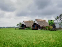 Ubud Rice Field Stay - Mahari by WAHM 고아가자 사원 (엘리펀트 케이브) 주변 호텔