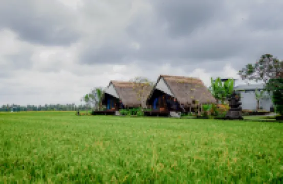 Ubud Rice Field Stay - Mahari by WAHM
