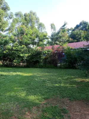 Pross Residence Hostel - Masindi- Close to Murchison Falls Gate - 3-Star