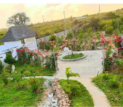 Archie’Es Vacation Rental