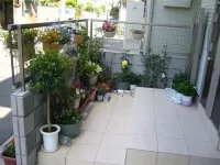 sakura home