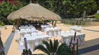 Villa Rental in Sanary-sur-Mer – Pool and Garden - Homestays