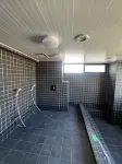 HOTEL WINDS ASAKUSA Capsule Inn - spa