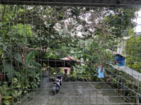 Cozy Pink Family Room