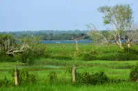 NERALU GARDEN YALA