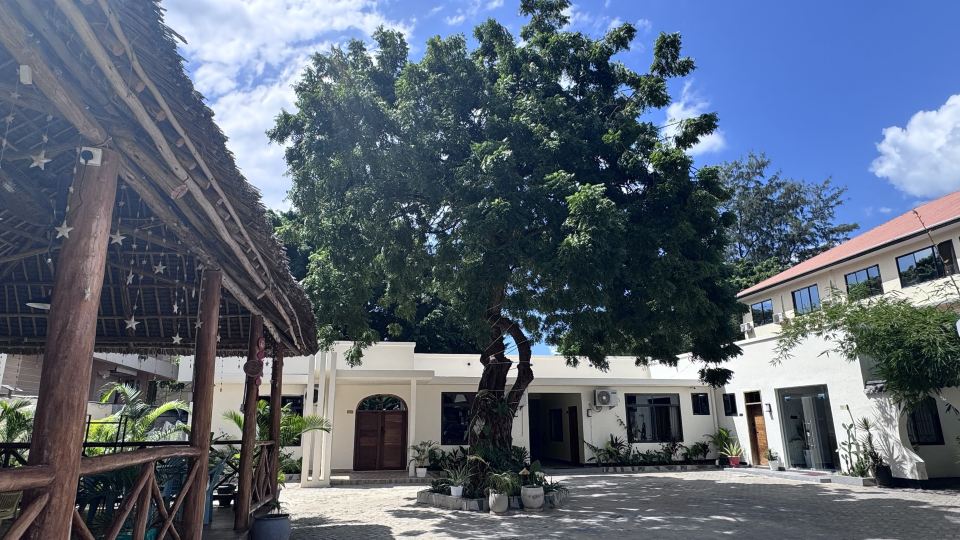 Cactus Hotel