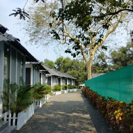 Nature's Cove Resort