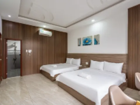 Hotel Tien Thanh 順安酒店