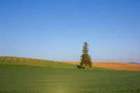 Play Ground BASE -higashikawa- Hotels in Higashikawa