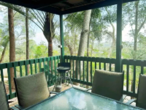 Tropical escape in central location/Entire house