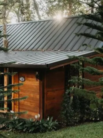 รูปภาพของเดอะจังเกิ้ลทัช