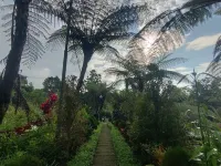 Lembah Cinta Mayungan โรงแรมใกล้สวนพฤกษศาสตร์เบดูกุล