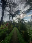 Lembah Cinta Mayungan - Chỗ nghỉ