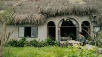 Neverland de Papillons - Sa Dec