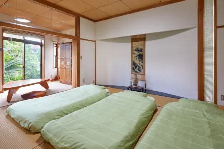 Malama Monstera In a botanical space, pls have a relaxing time.