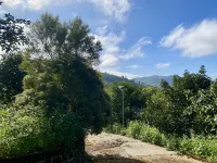 Nha Trong Suong - Homestay Bao Loc - Homestays