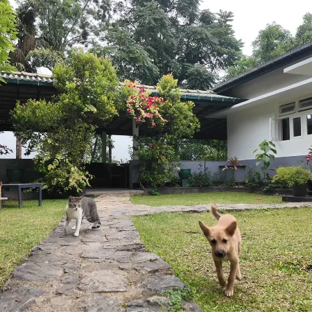AMBA Estate
