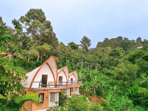 Selayang Olivehill - Luxury Glamping in the Forest Hotels in Cigombong