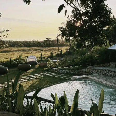 Jungle Nest Resort