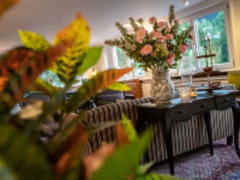 Engel 16 Hotels in Gutach