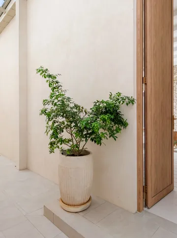 รูปภาพของโซนาตา เกาะสมุย