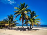 Hotel Boutique Sylvie - Beach
