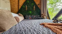 The Shroom Room | Romantic Dome with view near Smokies on Nolichucky River - Parvekkeita