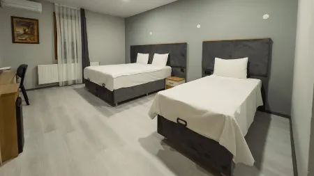 Altınova Hotel Sakarya Отели в г. Сакарья