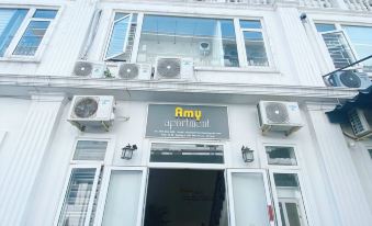 2. Amy Apar..