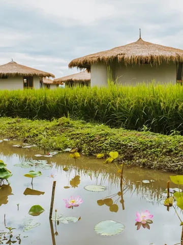 รูปภาพของนาบัว วิลล่า เชียงราย