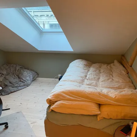 Room in large apartment