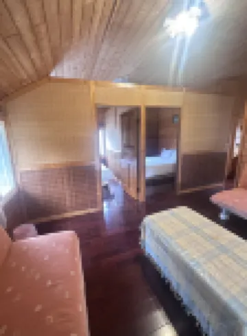 Peach Holiday Manoranor