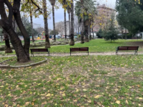 Park View