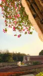 Homestay in Tay Ninh - Homestays