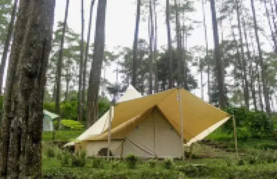 Lembah Pinus
